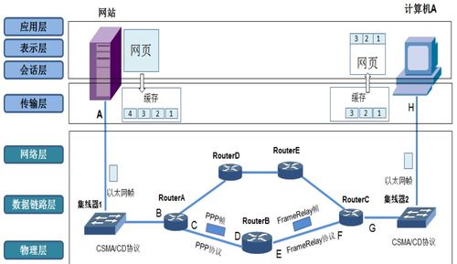 深入理解计算机网络体系结构 TCP/IP协议与计算机系统服务
